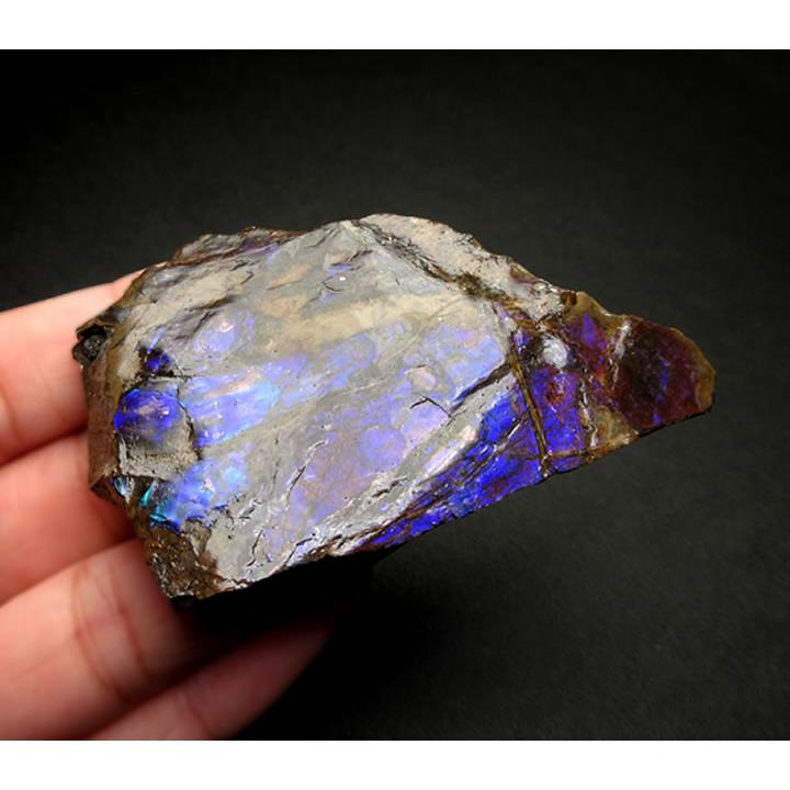 アンモライト（アンモナイト）50g カナダ産 七色の繁栄の石 幸運 財運 金運 成功 anmo195の画像