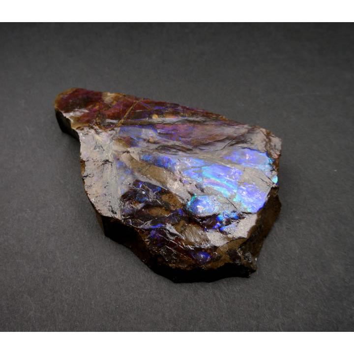 アンモライト（アンモナイト）50g カナダ産 七色の繁栄の石 幸運 財運 金運 成功 anmo195の画像