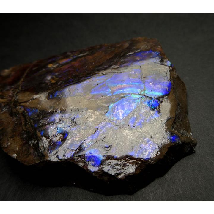 アンモライト（アンモナイト）50g カナダ産 七色の繁栄の石 幸運 財運 金運 成功 anmo195の画像