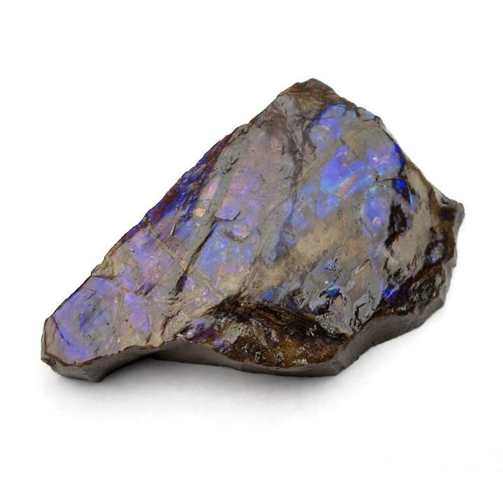 アンモライト（アンモナイト）50g カナダ産 七色の繁栄の石 幸運 財運 金運 成功 anmo195の画像