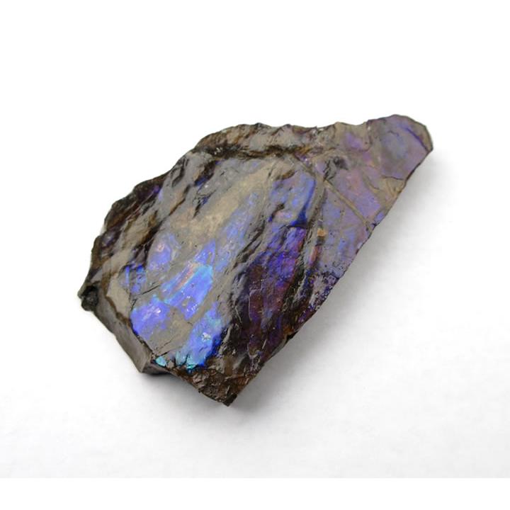 アンモライト（アンモナイト）50g カナダ産 七色の繁栄の石 幸運 財運 金運 成功 anmo195の画像