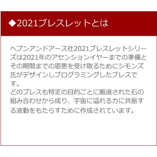 予約販売 2021ブレスレット プロテクションアンドパワー 8mm／10mm ヘブンアンドアース社 シモンズ氏の直筆サインカード付 B2021P8の画像