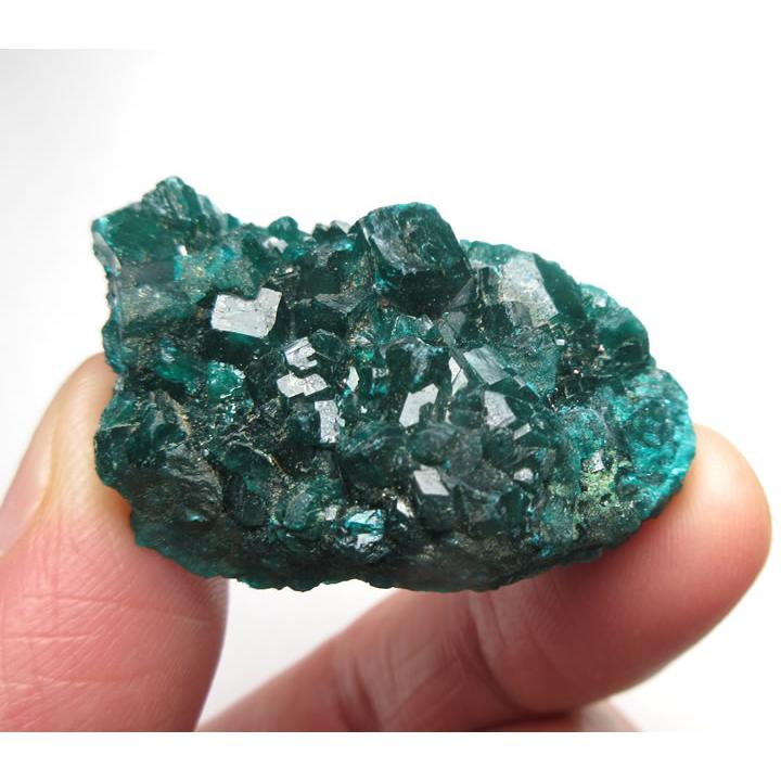 ダイオプテーズ 原石 19g 透明感のある深いグリーンの結晶が大変美しい