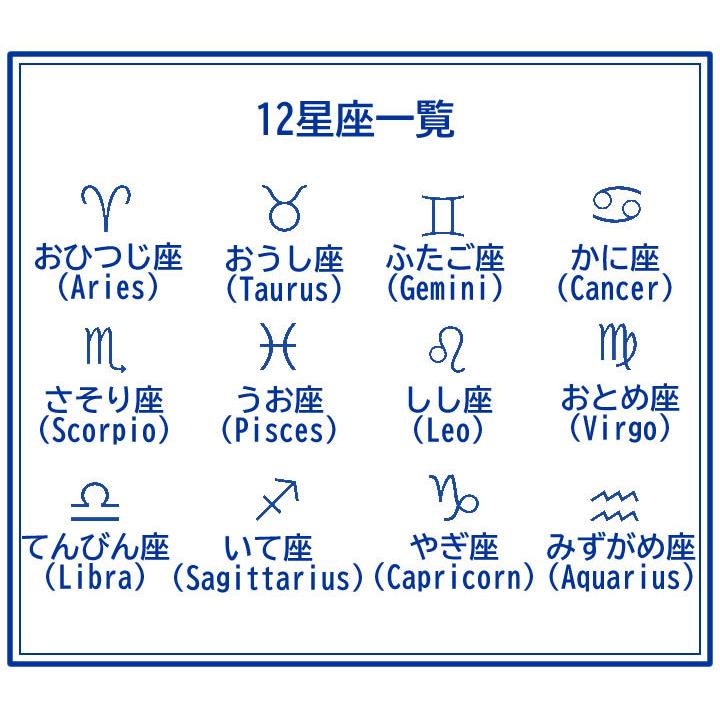 立体シリコンモールド 12星座 シンボルマーク 3D レジン用シリコン