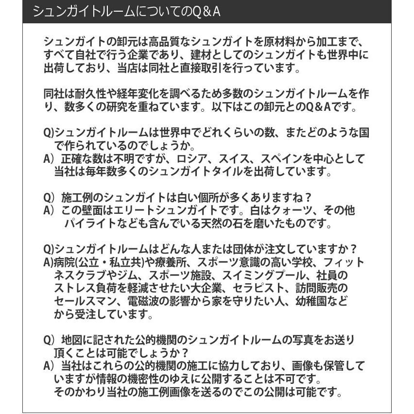 シュンガイト タンブル ペンダント 革ひも付き 10.8g H&E社証明書付 かつてない保護の石 ヘブンアンドアース パワーストーン shunp105｜ac-jewel｜10