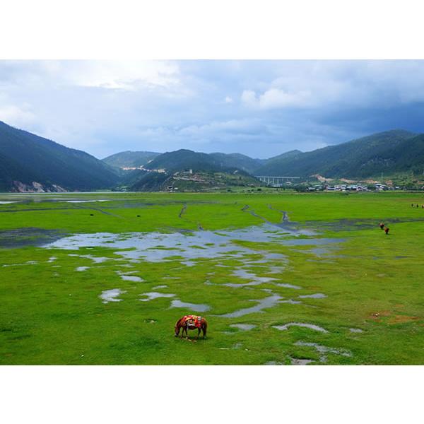 シャングリラクォーツ 540g チベット自治区シャングリラ地域産 今は大変稀少な整ったかたち カシードラル パワーストーン 天然石 smo063｜ac-jewel｜10