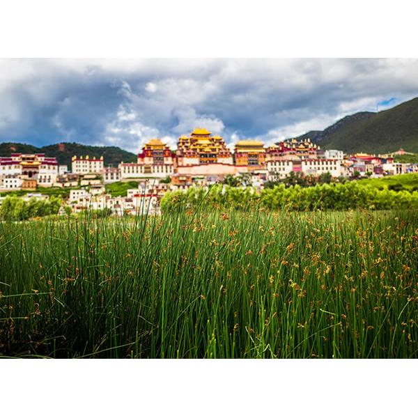 シャングリラクォーツ 540g チベット自治区シャングリラ地域産 今は大変稀少な整ったかたち カシードラル パワーストーン 天然石 smo063｜ac-jewel｜08