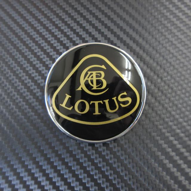 ロータス Lotus ノーズバッチ ロータスロゴブラック ゴールド Acaj Lotus 273 Ac Minds Autojumble 通販 Yahoo ショッピング