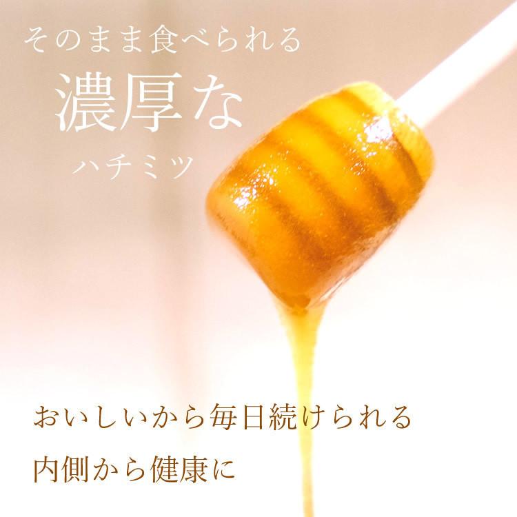 3個セット 美味しく食べやすい オーストラリア産 マヌカハニー 3個セット 美味しく食べやすい オーストラリア産 マヌカハニー