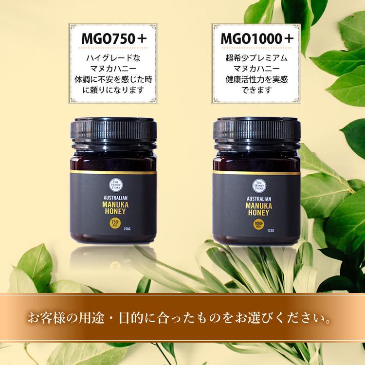3個セット 美味しく食べやすい オーストラリア産 マヌカハニー MGO500+ 250g UMF15相当 おすすめ はちみつ 送料無料 ギフト プレゼント