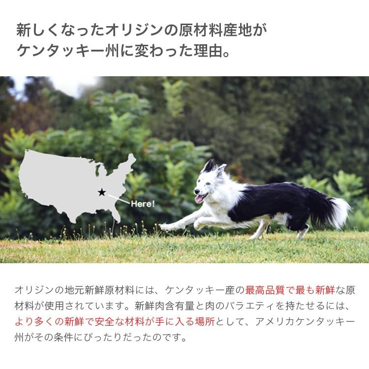 オリジン フィット トリム ドッグ 340g 正規品 体重管理用 ドッグフード 賞味期限21 12 10 Orijen 41 アカナ オリジンフードの新堀商店 通販 Yahoo ショッピング