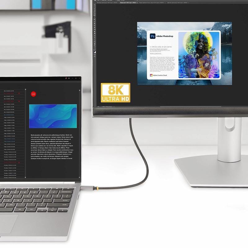 USB-C-HDMI 2.1変換ケーブル 2m 8K60Hz 4K144Hz DP 1.4 Altモード HDR10 HDCP 2.3 7.1ch USB4