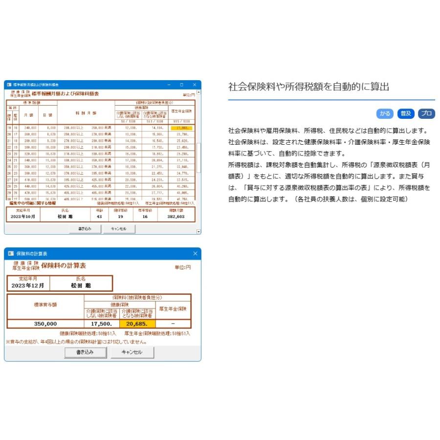 給料らくだ普及版24 BSL 【送料無料】 給料計算 ビーエスエルシステム研究所 給与計算ソフト 賞与 社会保険 年末調整 月給 日給 時給 無償保守1年｜acceljapan｜05