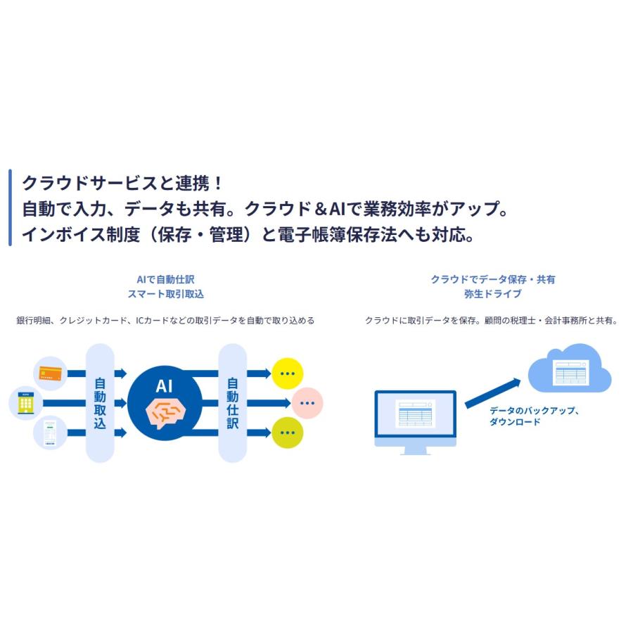 弥生会計 25 スタンダード 通常版 インボイス制度 電子帳簿保存法対応