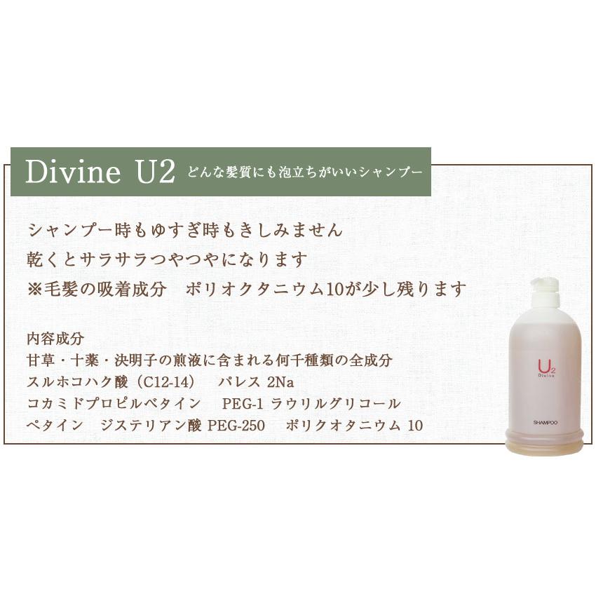 ディバイン ナノ シャンプー U2 1000ml ノンシリコンシャンプー