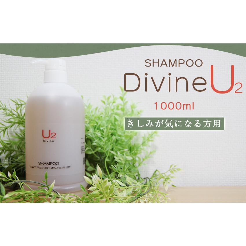 ディバイン ナノ シャンプー U2 1000ml ノンシリコンシャンプー
