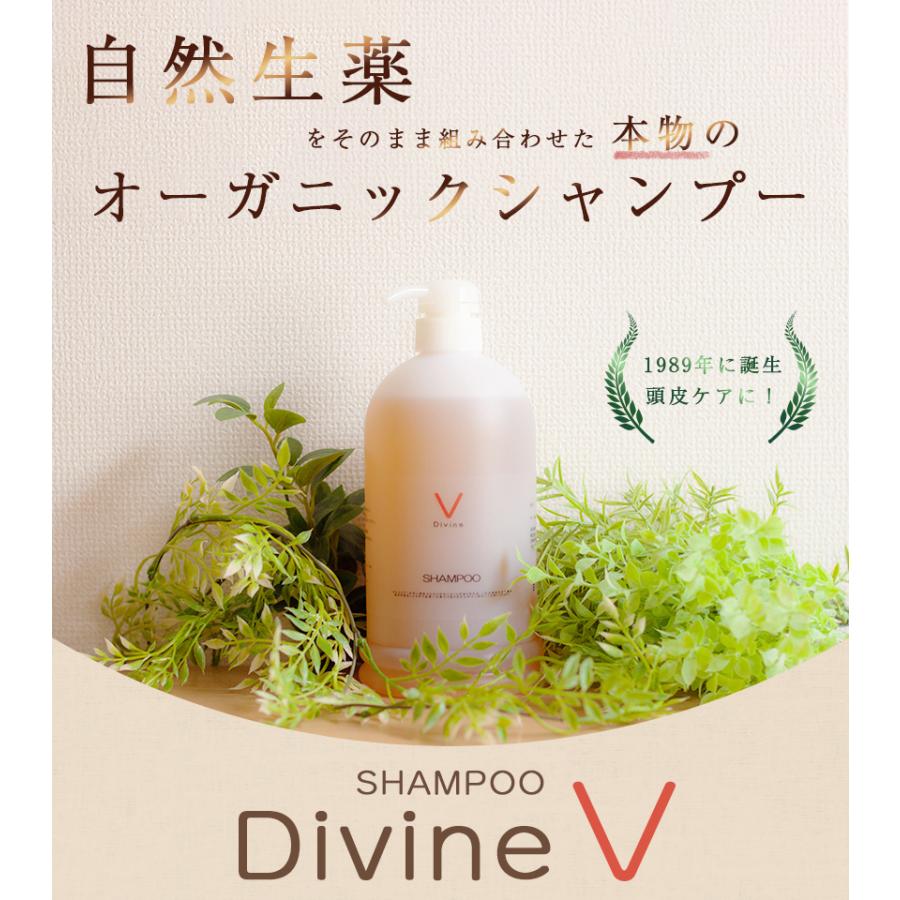 ディバイン ナノ シャンプー V 1000ml ノンシリコンシャンプー