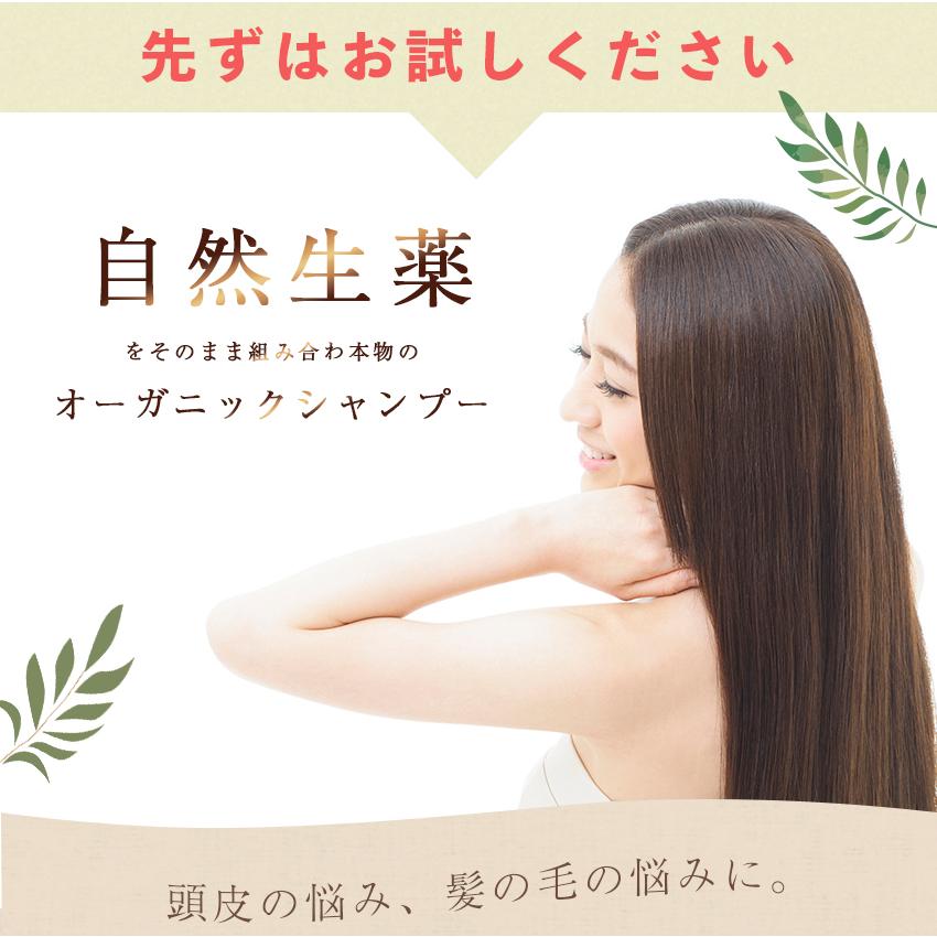 ディバイン ナノ シャンプー V 1000ml ノンシリコンシャンプー