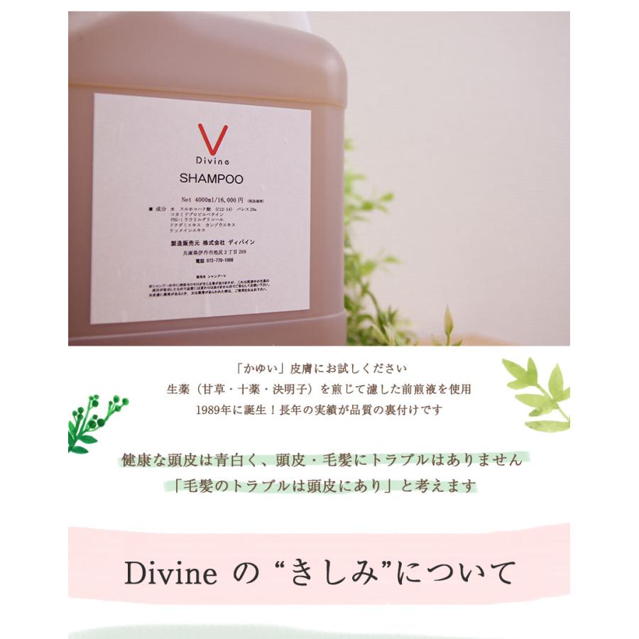 ディバイン ナノ シャンプー V 4000ml ノンシリコンシャンプー