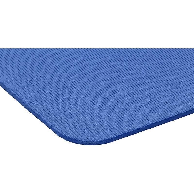 AIREX(エアレックス) トレーニングマット フィットネス120 厚さ15mm ブルー FITNESSBL BLUE 120 FITNES エアレックス トレーニングマット フィットネス120 厚さ15mm ブルー FITNESSBL BLUE FITNES