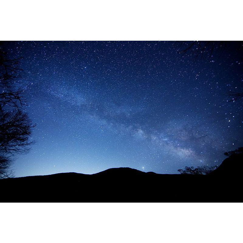 Vixen ポータブル赤道儀 星空雲台ポラリエ(WT) ホワイト 355051 ポータブル赤道儀 355051 ホワイト Vixen 星空雲台ポラリエ(WT)