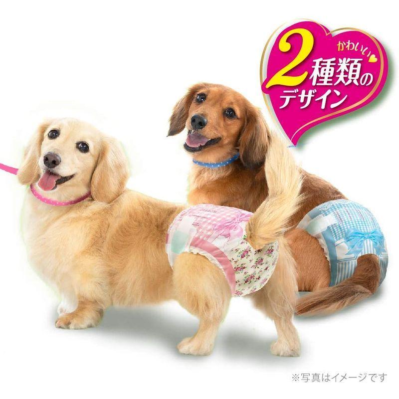 満点の満点のマナーウェア 犬用 おむつ 女の子用 Sサイズ 小型犬用 ピンクリボン 青リボン 288枚 （36枚×8袋） おしっこ ペット用品  ユニチャ おむつ