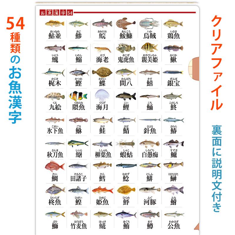 魚の種類漢字一覧, 魚へんの漢字一覧表 – QHRZ