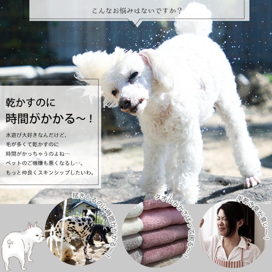 2年保証 ペットタオル 犬猫シャンプーに超吸収ペットタオルで速乾 犬猫専用ドライヤーの前に Forpet Taitto Quick Dry Towel タイット クイックドライタオル Discoversvg Com