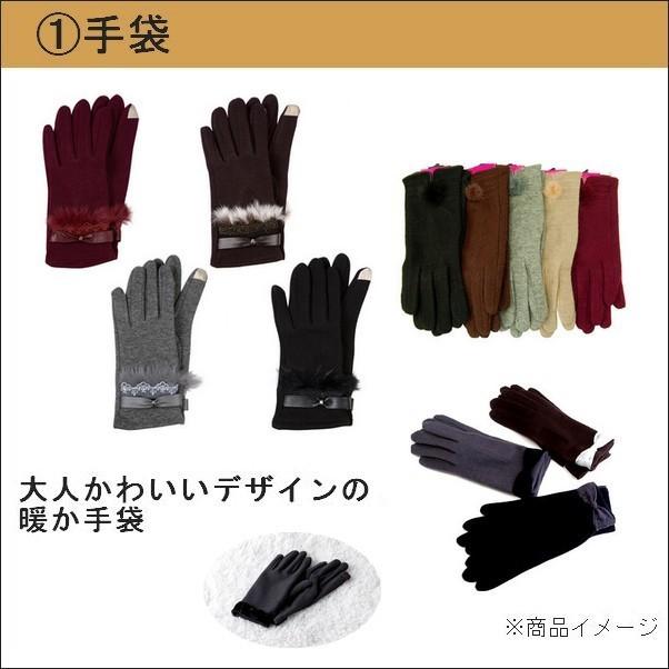 レディース 冬小物 2点セット 福袋 手袋 スヌード マフラー : Lune