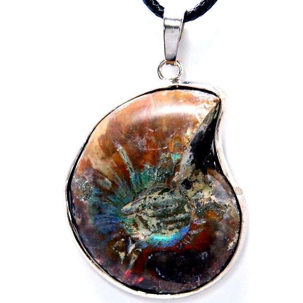 アンモナイト 古代 化石 貝 シェル オウムガイ メンズ ペンダント