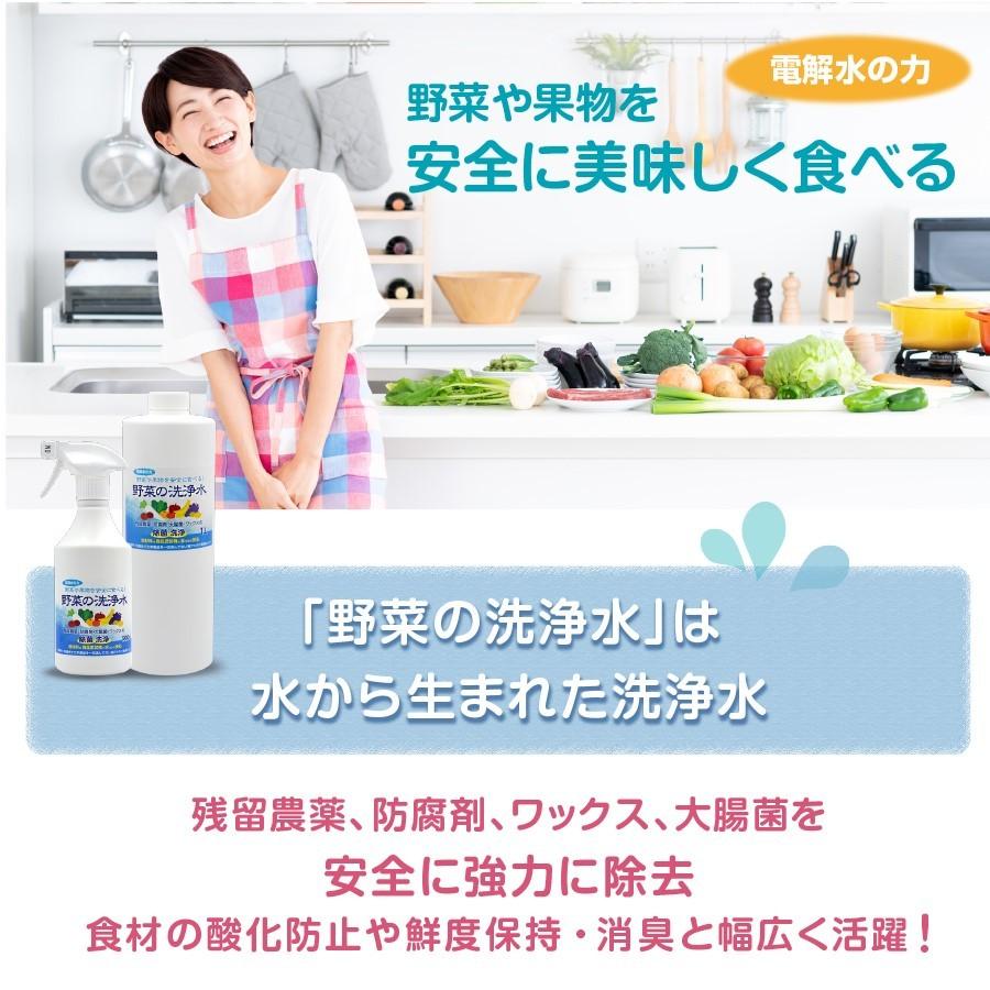 野菜を安全に美味しく食べる 【 野菜の洗浄水 500ml 】 農薬除去 野菜を安全に美味しく食べる 【 野菜の洗浄水 500ml 】 農薬除去
