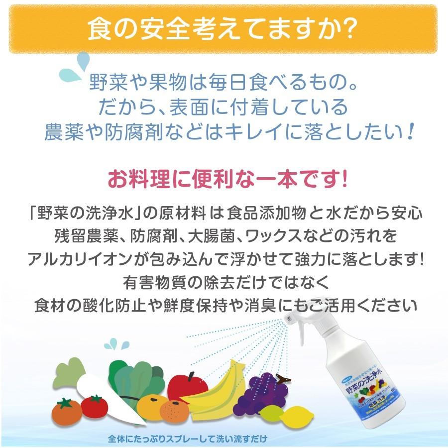 野菜を安全に美味しく食べる 【 野菜の洗浄水 1L 】 農薬除去 野菜洗い 食材の酸化防止 鮮度保持 汚れ落とし 強アルカリ電解水 掃除にも使えます |  | 02