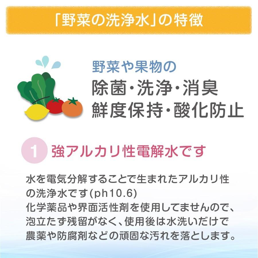 野菜を安全に美味しく食べる 【 野菜の洗浄水 500ml 1Lセット 】 農薬除去 野菜洗い 食材の酸化防止 鮮度保持 汚れ落とし 強アルカリ電解水 掃除にも使えます |  | 03