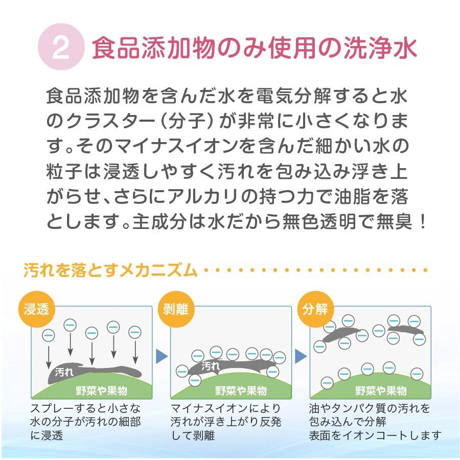 野菜を安全に美味しく食べる 【 野菜の洗浄水 500ml 1Lセット 】 農薬除去 野菜洗い 食材の酸化防止 鮮度保持 汚れ落とし 強アルカリ電解水 掃除にも使えます |  | 04