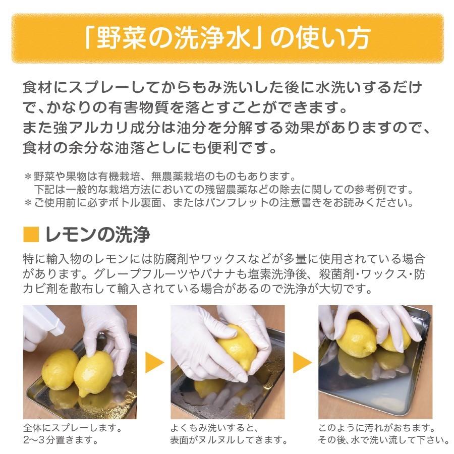 野菜を安全に美味しく食べる 【 野菜の洗浄水 500ml 1Lセット 】 農薬除去 野菜洗い 食材の酸化防止 鮮度保持 汚れ落とし 強アルカリ電解水 掃除にも使えます |  | 06