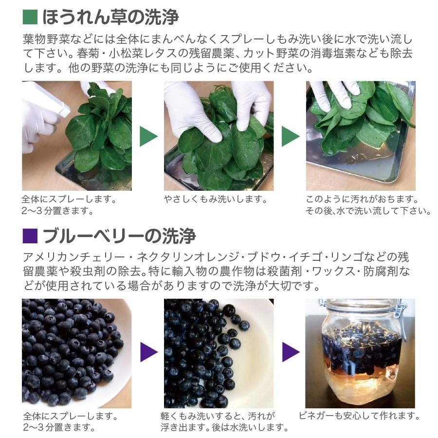 野菜を安全に美味しく食べる 【 野菜の洗浄水 500ml 1Lセット 】 農薬除去 野菜洗い 食材の酸化防止 鮮度保持 汚れ落とし 強アルカリ電解水 掃除にも使えます |  | 07