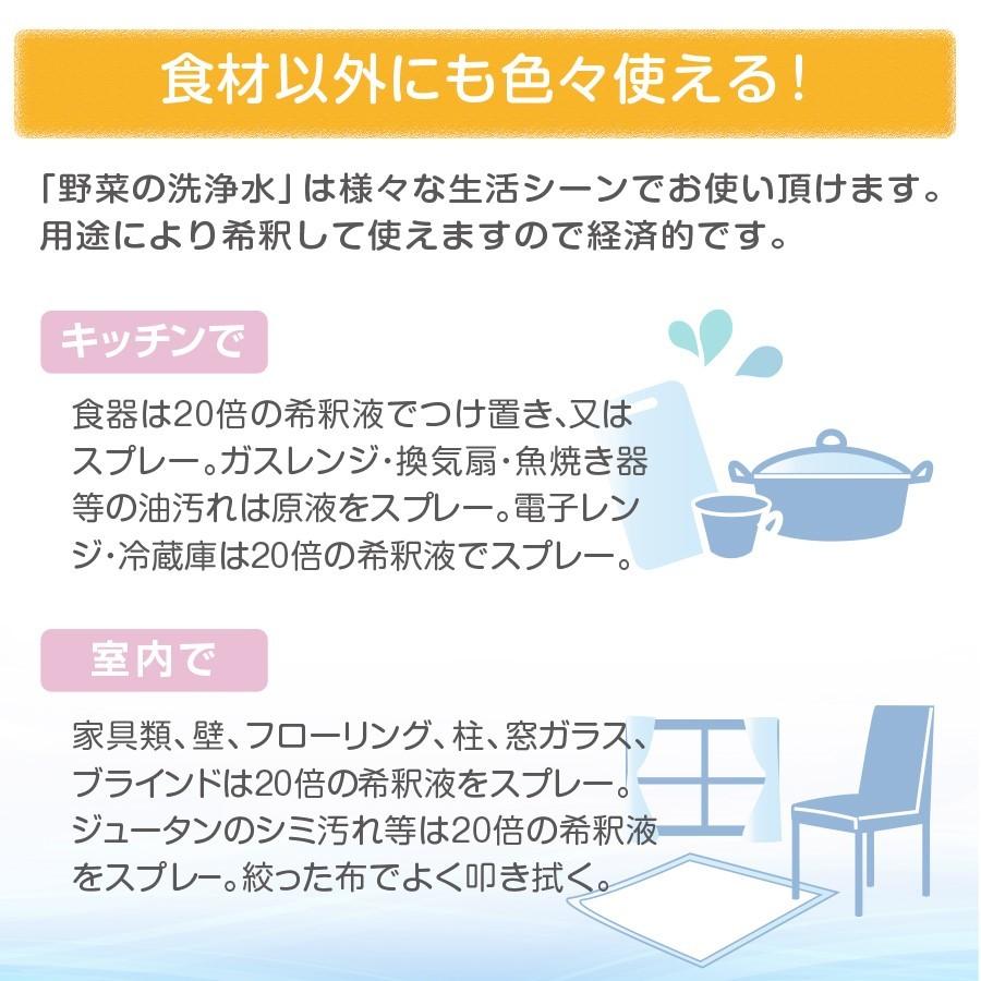 野菜を安全に美味しく食べる 【 野菜の洗浄水 500ml 1Lセット 】 農薬除去 野菜洗い 食材の酸化防止 鮮度保持 汚れ落とし 強アルカリ電解水 掃除にも使えます |  | 09