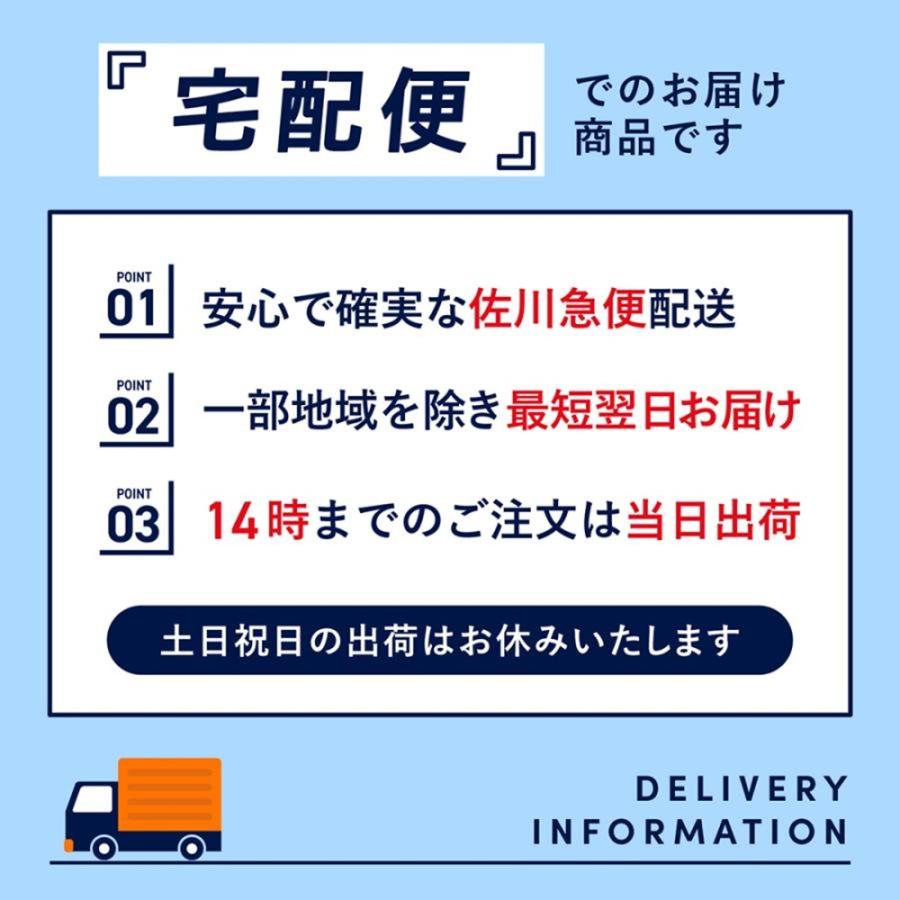 ガーメントバッグ スーツカバー 靴 ハンガー ショルダー ガーメント ボストンバッグ スーツ 収納 シューズ | ブランド登録なし | 15