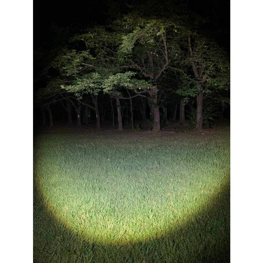 P18R WORK」LEDLENSER レッドレンザー LEDライト 充電式 : アイシン