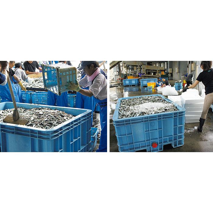 ジャンボックス#1200　フィッティング付　290005＋890121　ライトブルー　外寸1990×1050×848ｍｍ　三甲　※個人宅配送不可　ジャンボックス | 三甲 | 01