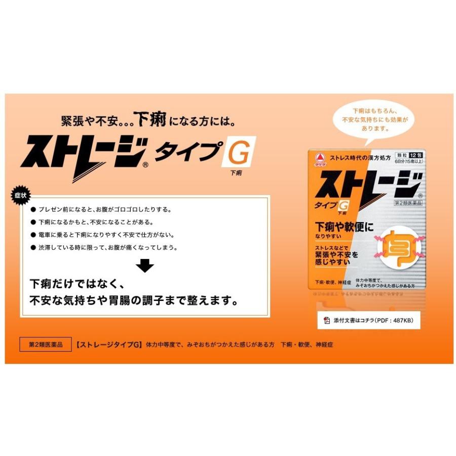 【第2類医薬品】武田薬品工業(株) ストレージタイプG(6包) |  | 01