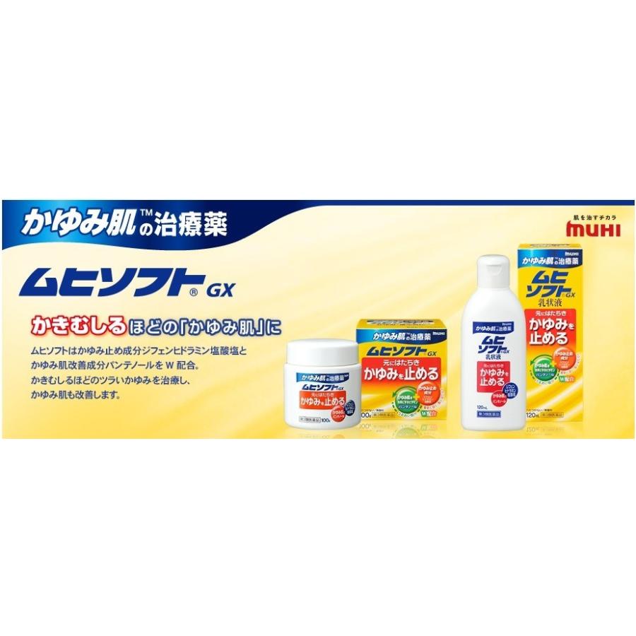 第3類医薬品】(株)池田模範堂 かゆみ肌の治療薬 ムヒソフトGX 100g