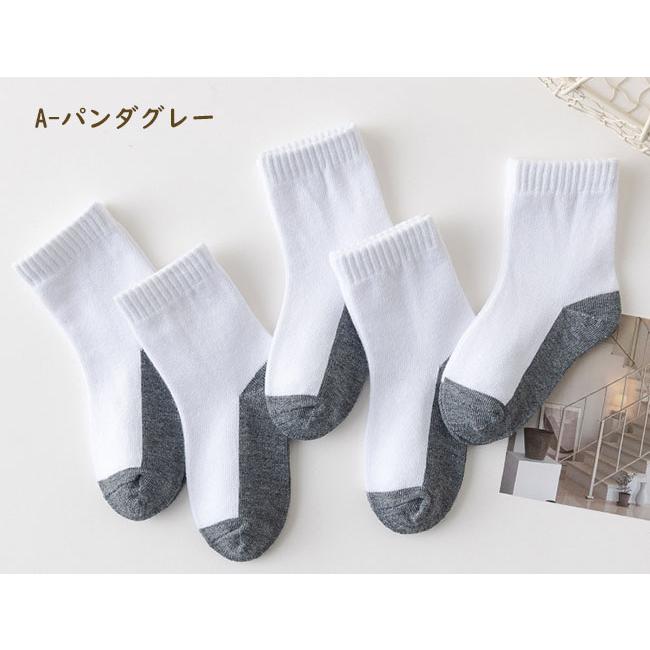 スクールソックス 5足セット 子供 靴下 クルー丈 2Typeオールシーズン  