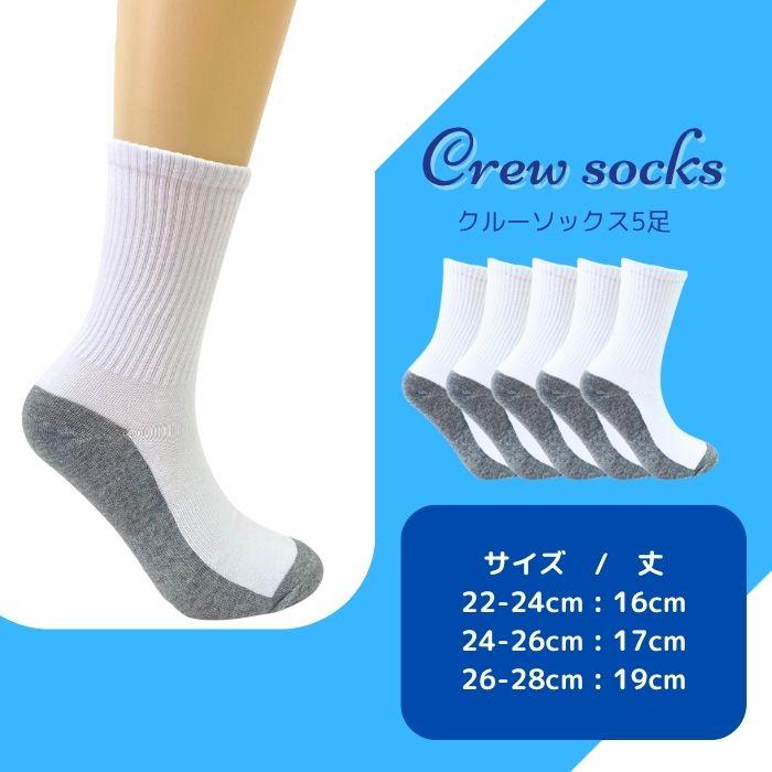 パンダ ソックス 靴下 白 汚れが目立たない 5足組 10足組 スクール