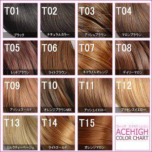 ウィッグ お団子 ウイッグ ヘアウィッグ おだんご シュッシュタイプ dw03 |  | 04