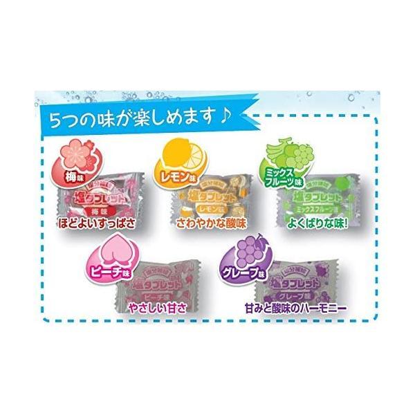 2026年最新入荷) 10袋まとめ買い ランドアート 塩タブレット5兄弟 1