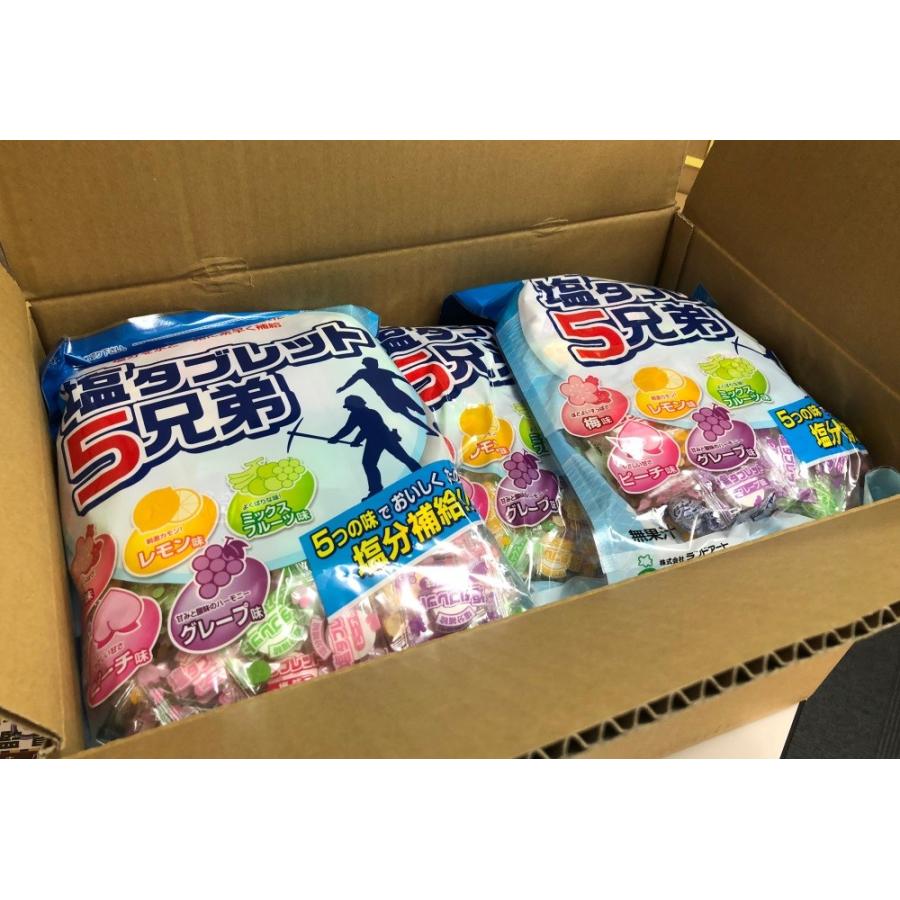2026年最新入荷 3ケース爆買い ランドアート 塩タブレット5兄弟（500g
