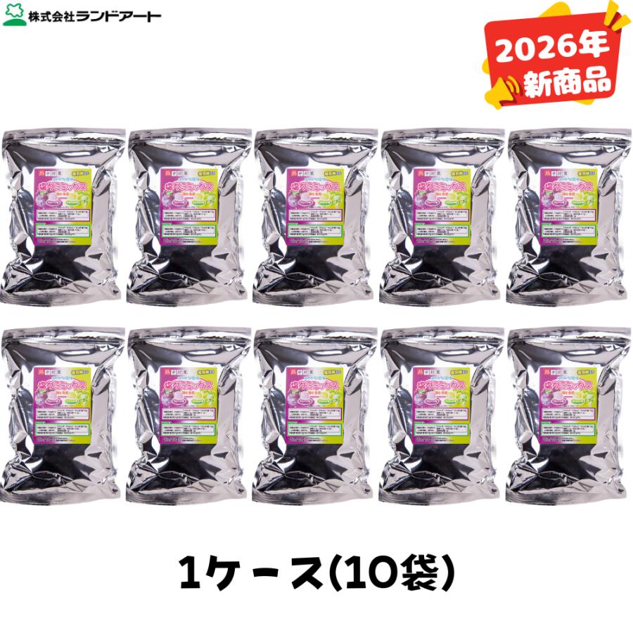 10袋まとめ買い) ランドアート 塩グミ ミックス 250g袋入x10袋入り