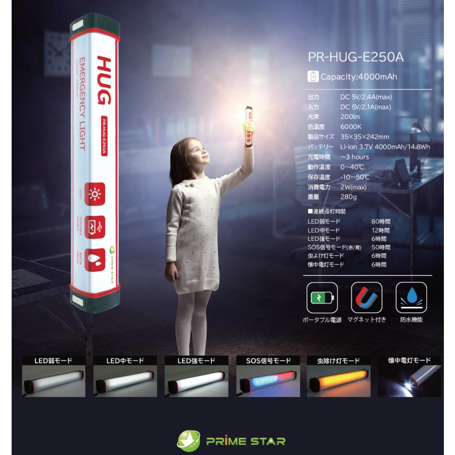 プライムスター エマージェンシーライト PR-HUG-E250 リチウムイオン