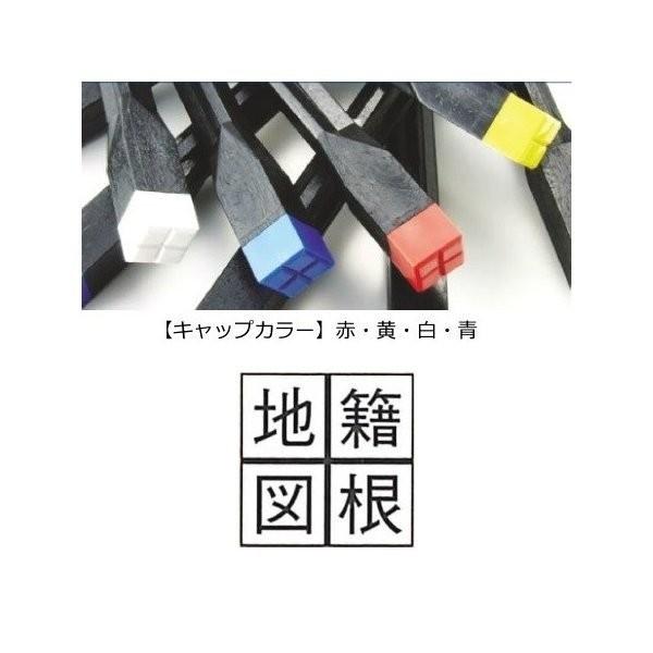文字入りキャップ 【地籍図根（十字）】 リプロ デルタA45